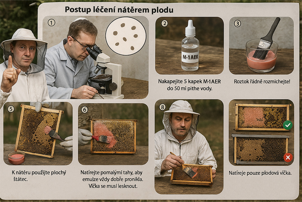 Varoaza clanky jahan – ilustračná fotografia k článku „Náter zaviečkovaného plodu v predjarí proti varroáze“