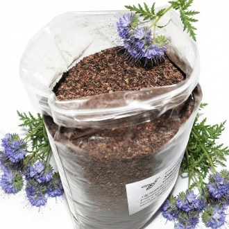 Svazenka vratičolistá (semená / včelia pastva) - 1 kg
