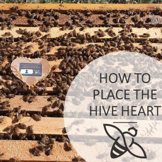 Úľový snímač Bee Heart