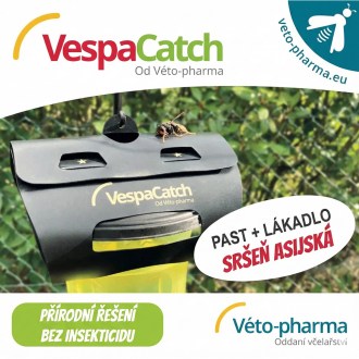Pasca na ázijské sršne VespaCatch