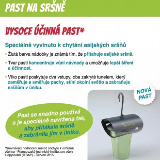 Pasca na ázijské sršne VespaCatch
