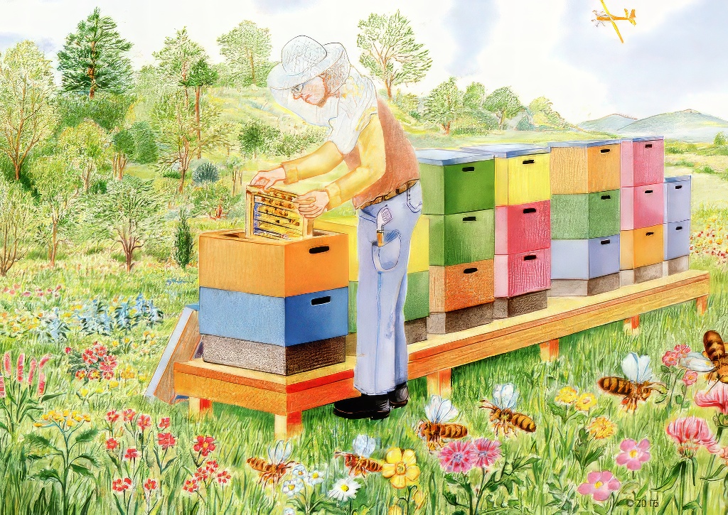 Pohľadnica - Včelárska jar