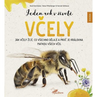 Jeden rok v živote včely - Ako včely žijú